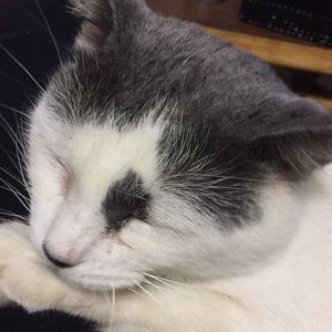 Meet your Posher, Isabella